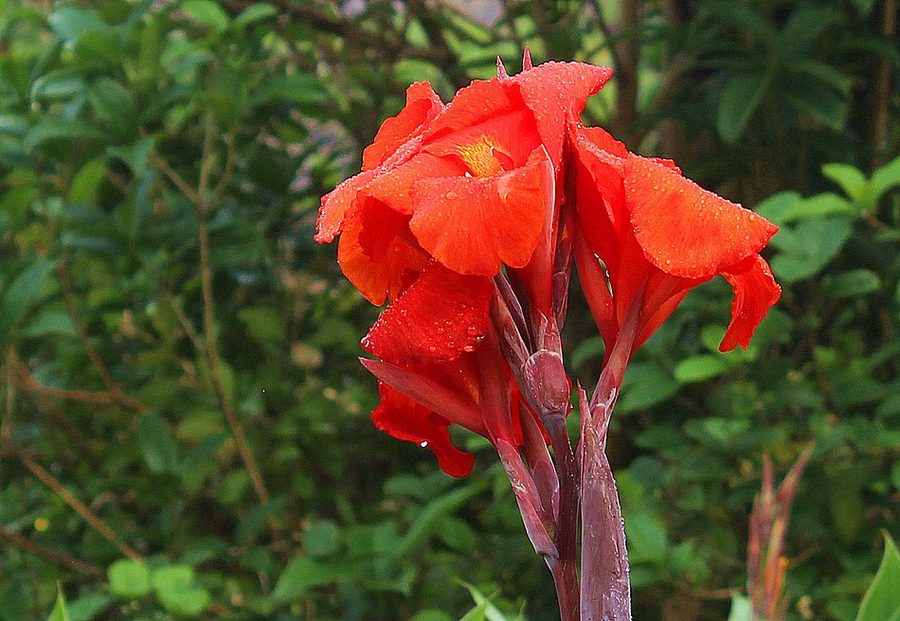 1637229701429417.jpg 1637229701429417.jpg