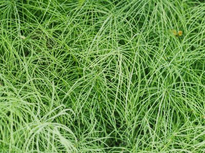 1637373050274647.jpg 1637373050274647.jpg