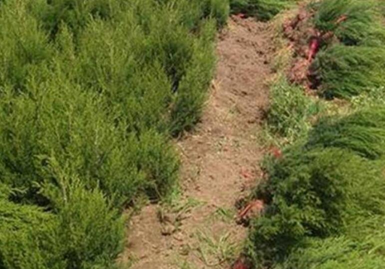 1637654406261365.jpg 1637654406261365.jpg