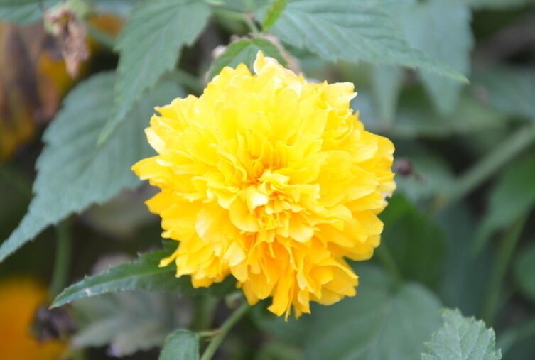 1637906001687330.jpg 1637906001687330.jpg