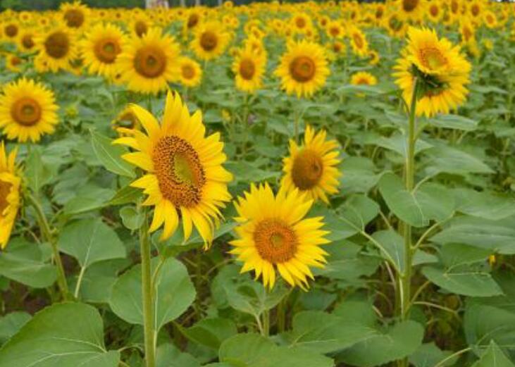 1638086875179111.jpg 1638086875179111.jpg