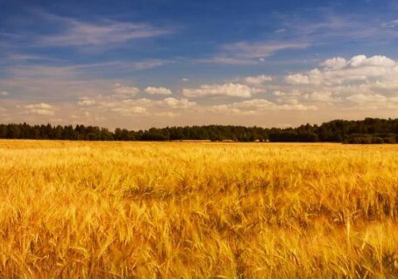 1638109056306584.jpg 1638109056306584.jpg