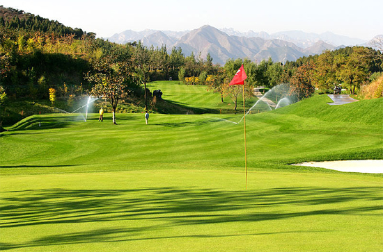 1638322335653632.jpg 1638322335653632.jpg