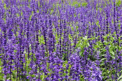 1638325286464807.jpg 1638325286464807.jpg