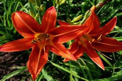 1638498775924551.jpg 1638498775924551.jpg