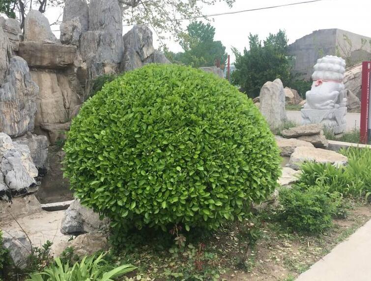 1638896486337518.jpg 1638896486337518.jpg