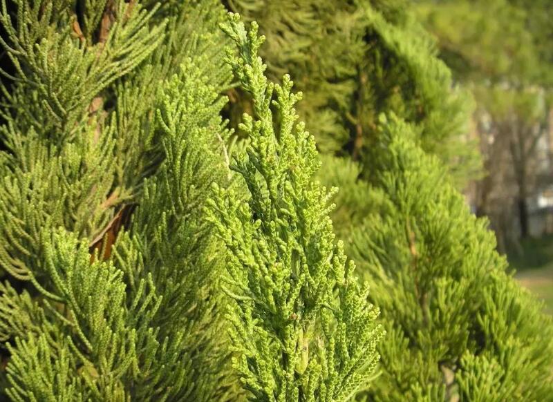 1638926326489836.jpg 1638926326489836.jpg