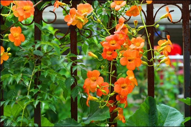 1638953290970383.jpg 1638953290970383.jpg