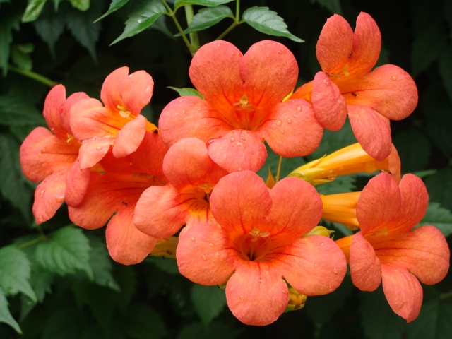 1638953307981457.png 1638953307981457.png