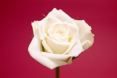 1638955121305619.jpg 1638955121305619.jpg