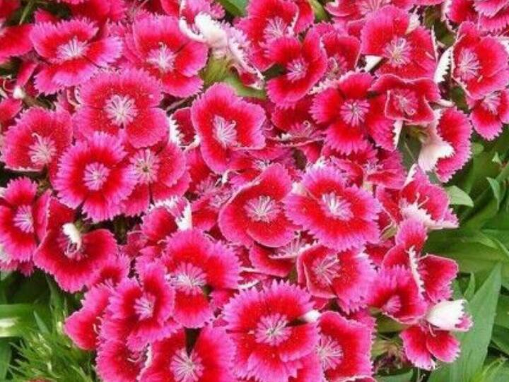 1638977450392963.jpg 1638977450392963.jpg