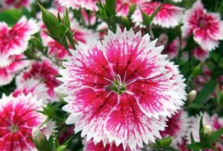 1638977461194883.jpg 1638977461194883.jpg