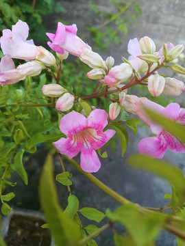 1639047305451494.jpg 1639047305451494.jpg