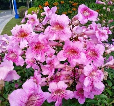 1639047334285386.jpg 1639047334285386.jpg