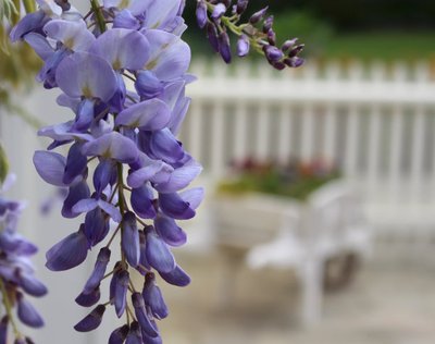 1639216487834525.jpg 1639216487834525.jpg