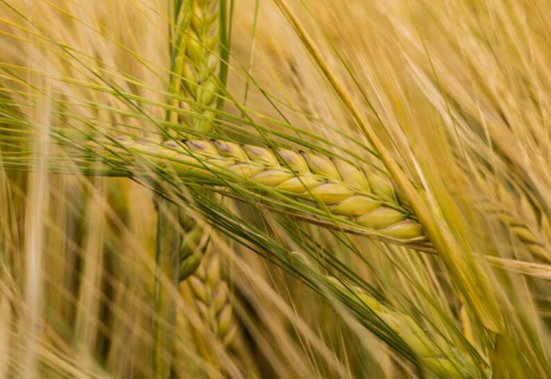 1639320962683434.jpg 1639320962683434.jpg