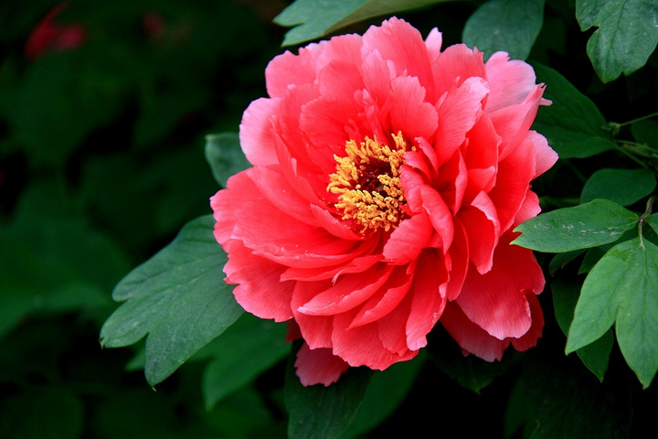 1639388876144700.jpg 1639388876144700.jpg