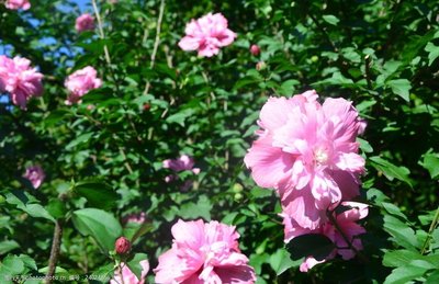 1639389552823100.jpg 1639389552823100.jpg