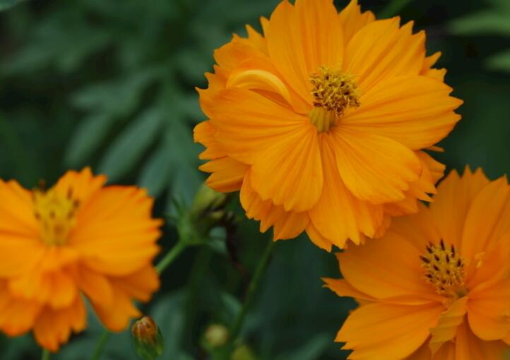 1639458688580002.jpg 1639458688580002.jpg