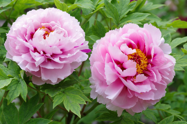 1639553450606894.jpg 1639553450606894.jpg