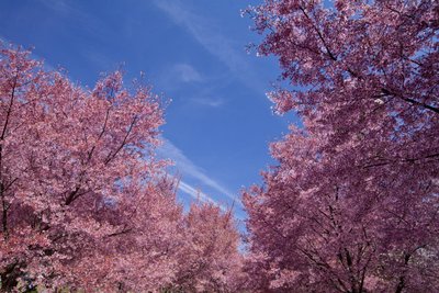 1639554067466478.jpg 1639554067466478.jpg