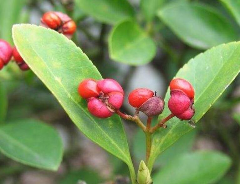 1639839924951214.jpg 1639839924951214.jpg