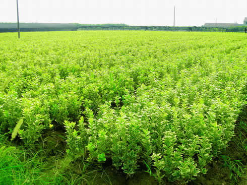 1639909433890023.jpg 1639909433890023.jpg