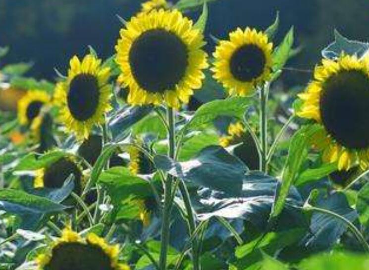 1639978526882016.jpg 1639978526882016.jpg