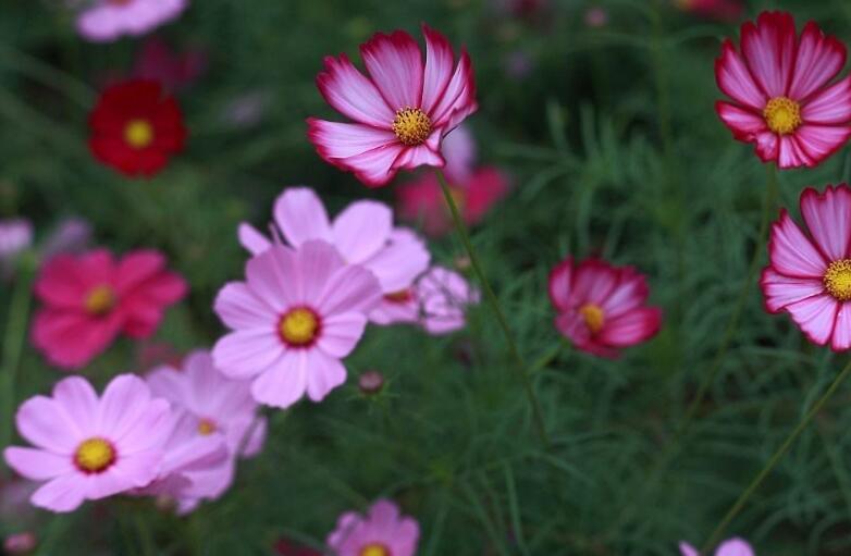 1639983203404822.jpg 1639983203404822.jpg