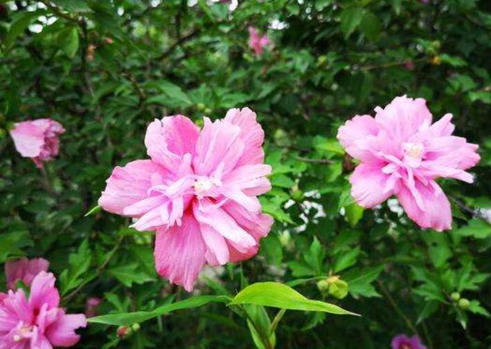 1639984191797707.jpg 1639984191797707.jpg