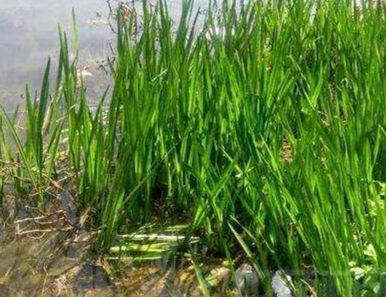 1640097569340897.jpg 1640097569340897.jpg