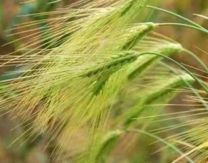 1640101814334321.jpg 1640101814334321.jpg