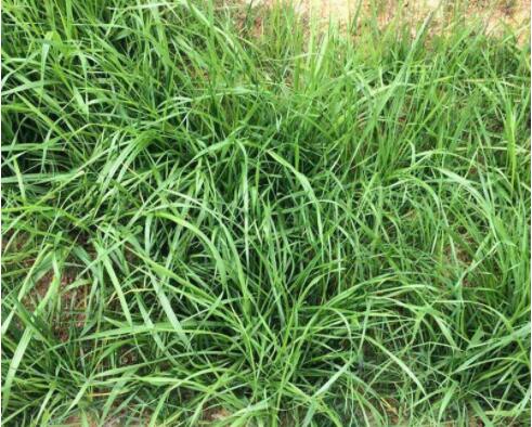 1640156776792384.jpg 1640156776792384.jpg