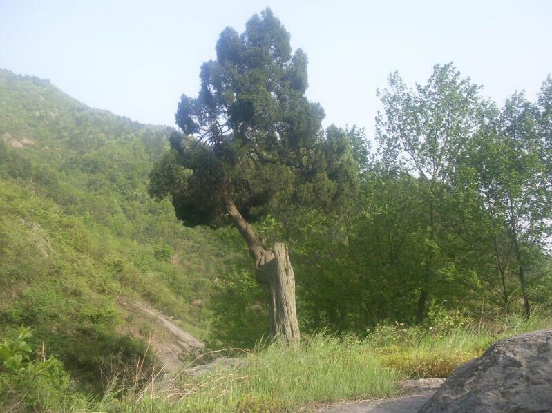 1640227545677160.jpg 1640227545677160.jpg