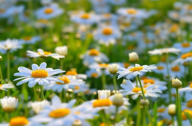 1640234399168777.jpg 1640234399168777.jpg