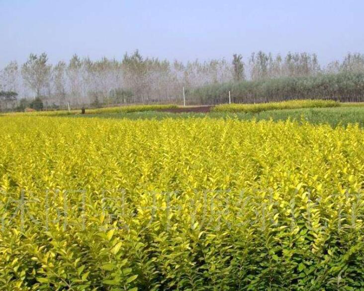 1640237583438967.jpg 1640237583438967.jpg