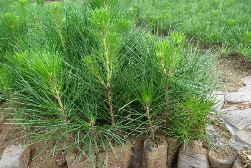 1640237710126678.jpg 1640237710126678.jpg