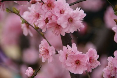 1640260201766033.jpg 1640260201766033.jpg