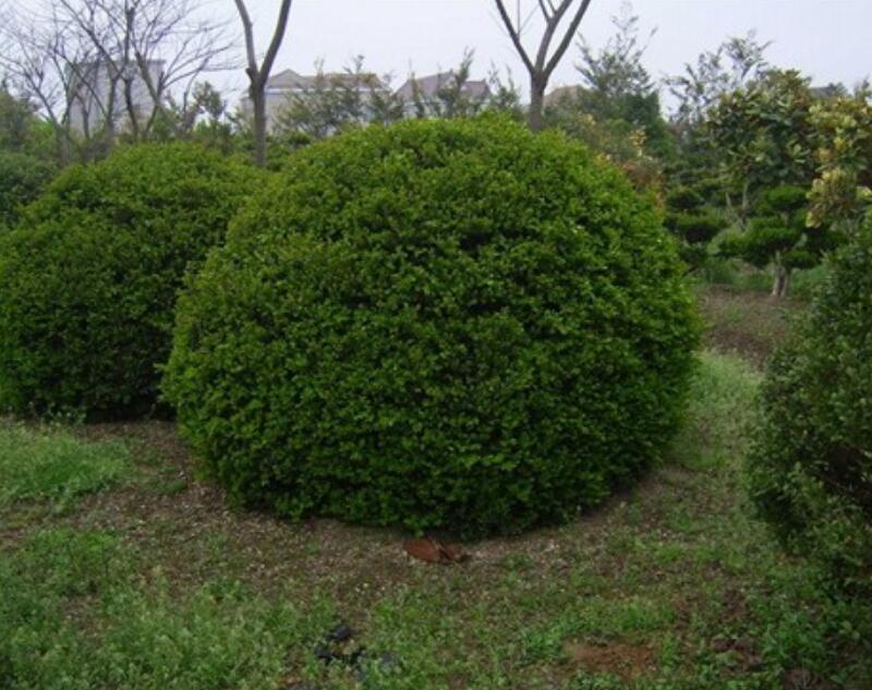 1640312787868782.jpg 1640312787868782.jpg