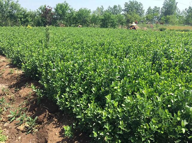 1640312788679905.jpg 1640312788679905.jpg