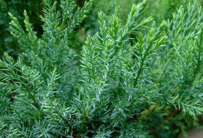 1640315971545095.jpg 1640315971545095.jpg