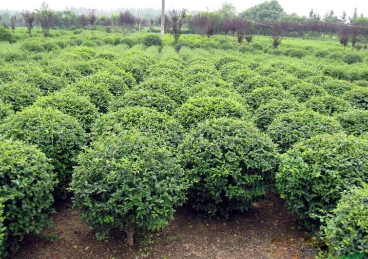 1640317094419093.jpg 1640317094419093.jpg