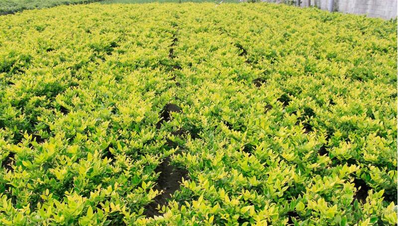 1640322080481109.jpg 1640322080481109.jpg