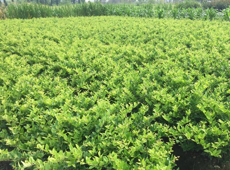 1640322335114241.jpg 1640322335114241.jpg