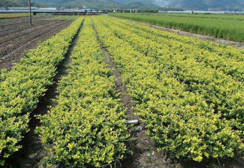 1640322464639887.jpg 1640322464639887.jpg