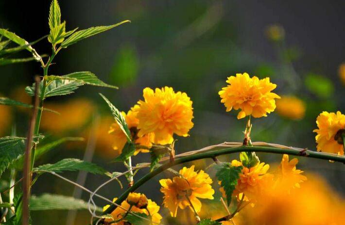 1640324693511263.jpg 1640324693511263.jpg