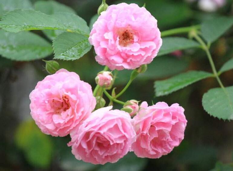 1640327033798272.jpg 1640327033798272.jpg