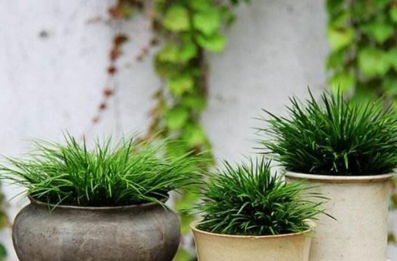 1640432046344416.jpg 1640432046344416.jpg