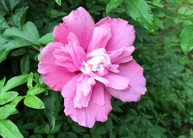 1640497397278057.jpg 1640497397278057.jpg