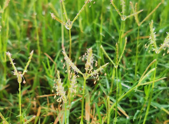 1640528643192730.jpg 1640528643192730.jpg